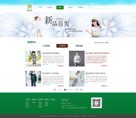 企业网站设计与软件开发 打造数字化竞争力的双引擎